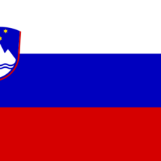 Nouvelle défaite pour la Slovénie de Beric