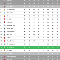 Ligue 1 : Les résultats de la 29e journée